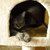 Dscn1823_small