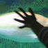 Hand-on-glass_medium