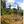 Jaya_-_la_tierra_sagrada_cd_art_300_dpi_redo_tiny