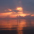 Dscf5080_medium