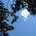 Dscf0792_medium
