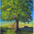 Highinthelindentree_small_medium