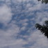 Img_5644_medium