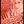 L_bbd7271917f0e54782bed8f27def71de_tiny