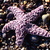 Imgp1326_small