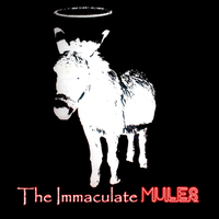 Mules_logo_copy_large