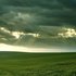 Rainy_day_in_sunny_june_1024x768_medium