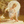 4385_tiny
