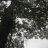 Asdflkjh_112_medium