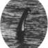 Loch_ness_2_lg_medium