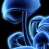 Hey_ho_023_medium