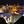 Vegas-city-guide-ga-1b_tiny