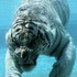 Hey_ho_028_medium