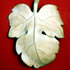 Fig_leaf_image_medium