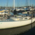 Dscf2941_medium