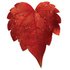Red-leaf-1_medium