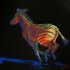 Midnight_run_medium