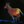 Midnight_run_tiny