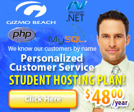 Gizmo Beach Hosting