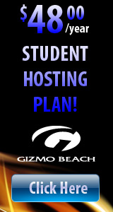 Gizmo Beach Hosting - ASP.NET MVC Hosting Special