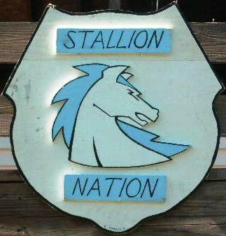 CLICK here to log into stallions nation - second to none community.....