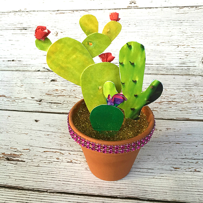 Photo Cactus Garden - MyPrintly