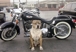 Dsc00536_news