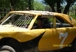 Karissas_pics_041_news