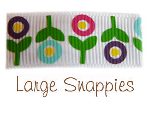 Lrg Snappies