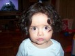 davani - 