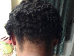 Back View of Up Do 2Strand Twish - Short hair styles, Kinky hair, Readers, Female, Black hair, Adult hair hairstyle picture