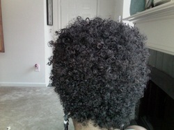 Photo on 2011-07-31 at 14.02.jpg - 3c, 4a, Very short hair styles, Kinky hair, Afro, Readers, Female, Curly hair, Black hair, Adult hair, Spiral curls hairstyle picture