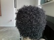Kinky hair, 4a, 4b