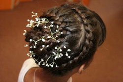 French Braid - Brunette, Updos, Braids, Styles, Female, Adult hair, Straight hair, French braids hairstyle picture
