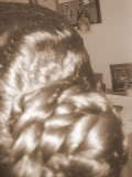 braided bun - Long hair styles, Readers, Female, Curly hair, Gray hair, Adult hair hairstyle picture
