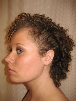 Curly Mohawk - Brunette, 3c, Short hair styles, Updos, Kinky hair, Styles, Special occasion, Female, Curly hair, Teen hair hairstyle picture