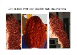 3a L2R: Front of hair (taken indoors); Back (outdoors); Side view (indoors) - Redhead, 3a, Long hair styles, Readers, Female, Curly hair, Adult hair, Layered hairstyles hairstyle picture