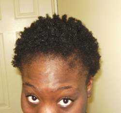 a wondrous wild twist-out  - Very short hair styles, Kinky hair, Readers, Female, Black hair, Adult hair hairstyle picture
