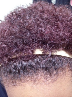 Cherry Cola/Black Cherry, Curls, Coils, Waves - 4a, 4b, Short hair styles, Kinky hair, Readers, Female, Curly hair, Black hair, Adult hair, Spiral curls, Coil out hairstyle picture
