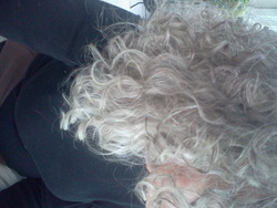 Growing Gray - Gray hair hairstyle picture