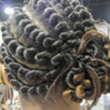 Curly Hair Style: Twist hairstyles