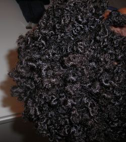 DSCN1516.jpg - Brunette, 4a, 4b, Medium hair styles, Kinky hair, Twist hairstyles, Readers, Female, Adult hair, Twist out hairstyle picture