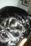 french braid updo - 3b, 3c, Kinky hair, Long hair styles, Female, Curly hair, Black hair, Adult hair, Prom hairstyles, Formal hairstyles, French braids hairstyle picture