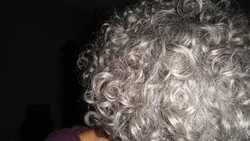 Hair 6-3.JPG - Short hair styles, Readers, Female, Curly hair, Gray hair, Adult hair hairstyle picture