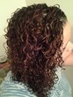 mixed chicks photo 2 - Adult hair