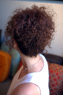 Back View  - Curly hair hairstyle picture
