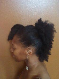 twistout fro hawk #2 - Brunette, 3c, 4a, Medium hair styles, Kinky hair, Twist hairstyles, Readers, Female, Curly hair, Black hair, Adult hair, Kinky twists, Mohawk, Curly kinky hair, Natural Hair Celebration, Textured Tales from the Street hairstyle picture