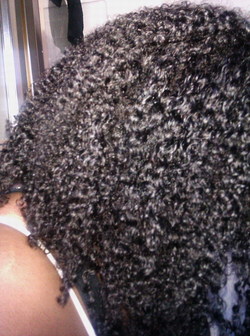3c & 4a! - 3c, Kinky hair, Readers, Female, Natural Hair Celebration hairstyle picture