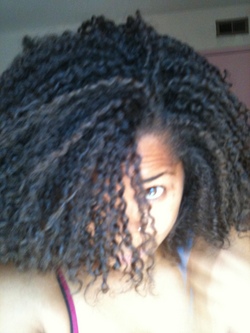 twist out from mini-twists - 3c, 4a, Medium hair styles, Kinky hair, Twist hairstyles, Female, Black hair, Adult hair, Twist out, Curly kinky hair, Textured Tales from the Street hairstyle picture
