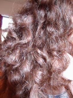 untamed curls -  hairstyle picture